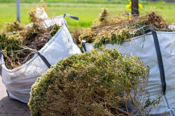 Best Furniture Removal  in Kentwood, MI